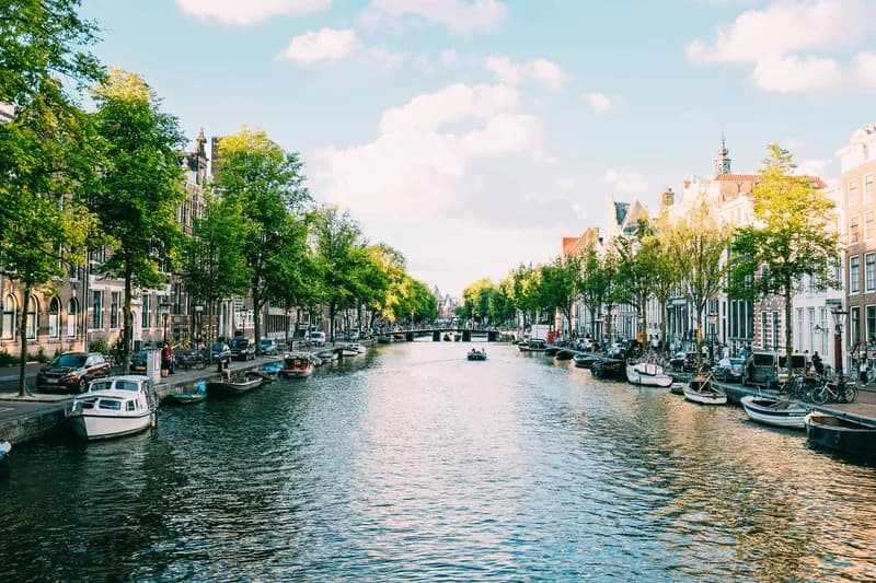 Study in Netherlands