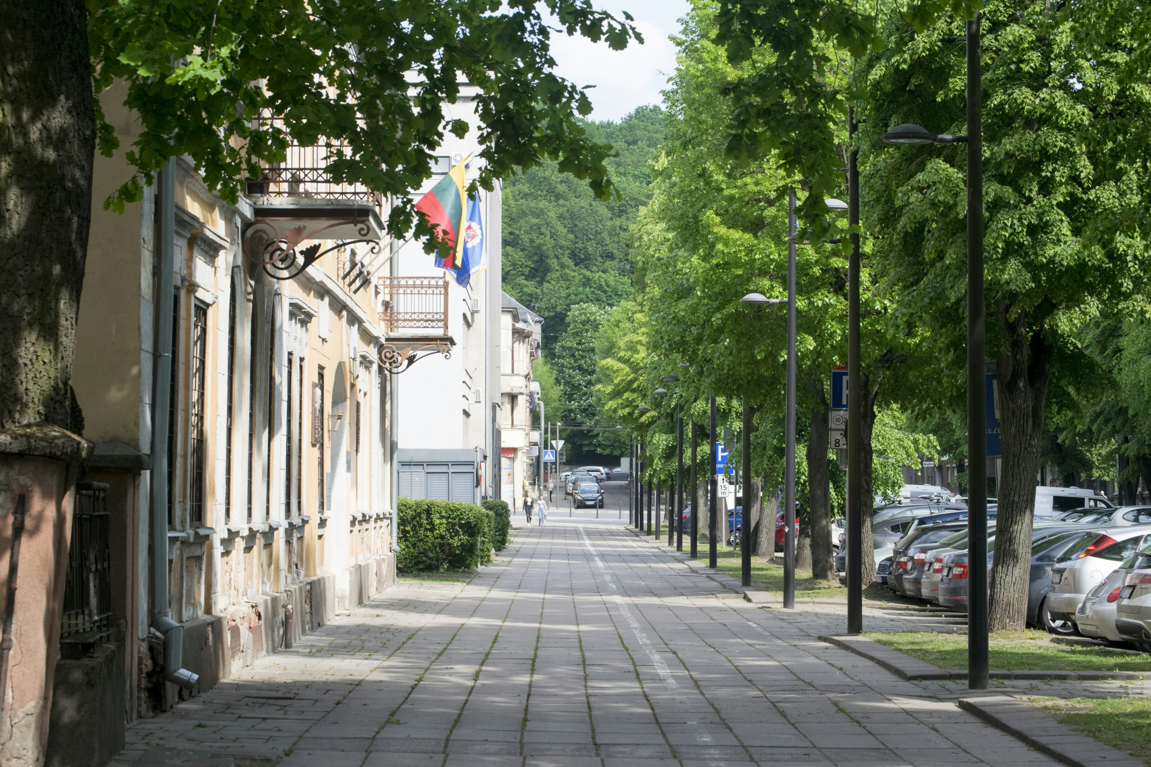 Study in Lithuania
